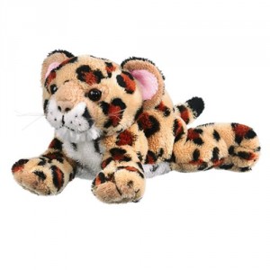 sugar cub plush